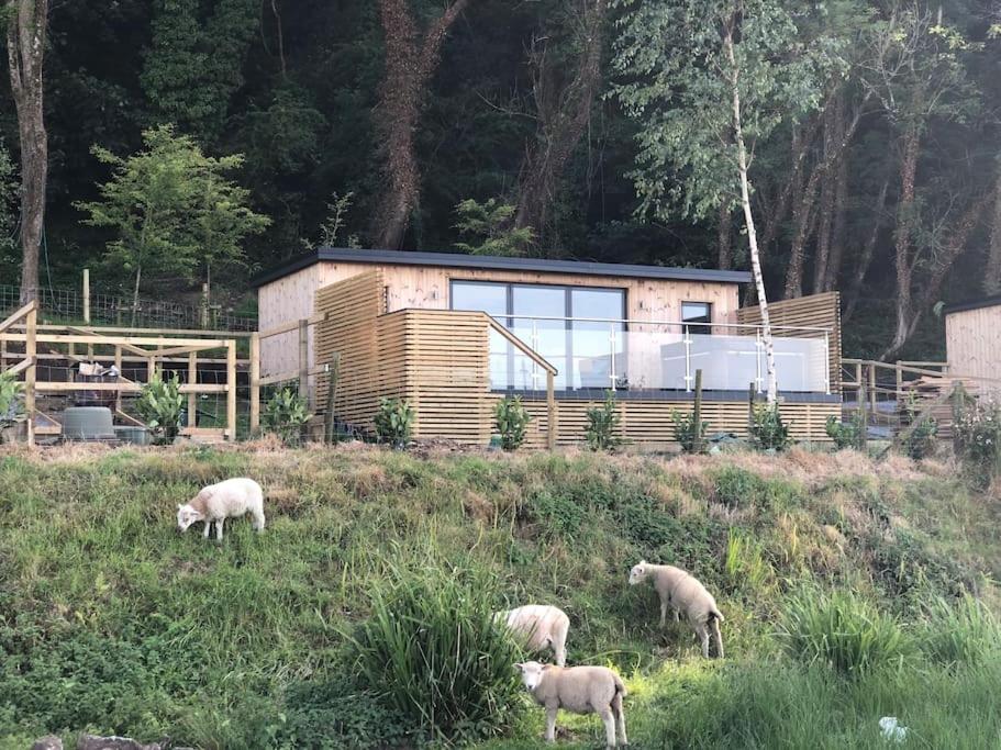 Villa The Langland Bay Look Out Swansea Exterior foto